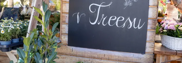 Kavárně v létě